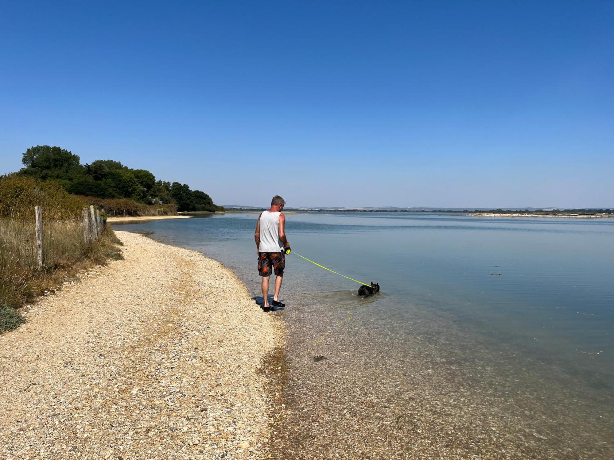 Stay At 'The Elms' In Tranquil Church Norton, Selsey - Ground Floor Bedroom, Own Private Bathroom, Quiet Beach, 2 Acre Garden By The Sea, On Edge Of Wildlife Nature Reserve Extérieur photo
