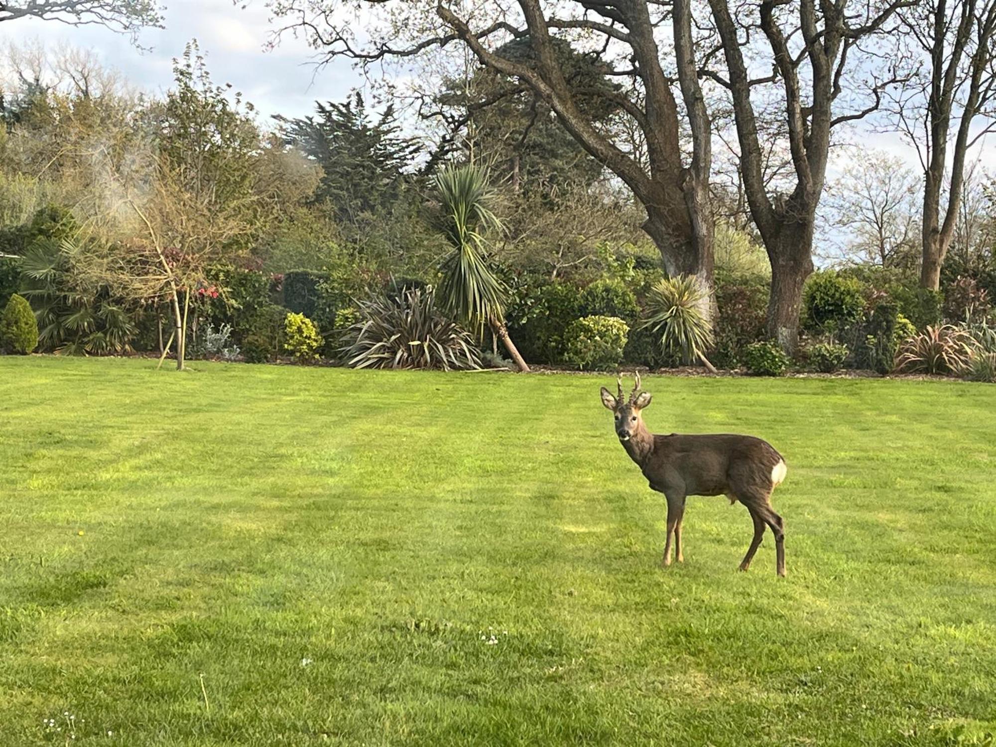 Stay At 'The Elms' In Tranquil Church Norton, Selsey - Ground Floor Bedroom, Own Private Bathroom, Quiet Beach, 2 Acre Garden By The Sea, On Edge Of Wildlife Nature Reserve Extérieur photo